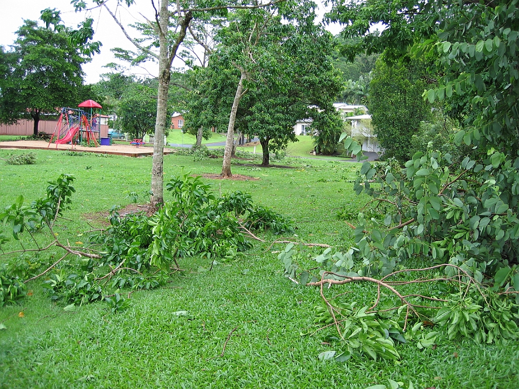 Cairns19 Cyclone Larry.jpg